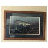 Signed, Framed and Numbered Print of Northern Pike By Tom Carter - 719/1400