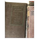 Lot of Vintage Books