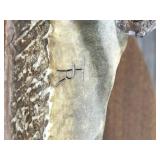 Big Horn Sheep Carved From Moose Antler by Tony Ramer - Wimbledon, ND