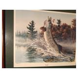 "Tiger Fury" print of fish by Rick Kelley