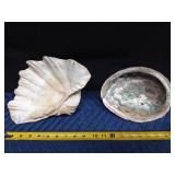 Large starfish and coral