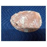 Large starfish and coral