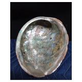 Large starfish and coral