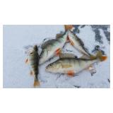 3 Nights Winter Lodge Stay, 2x Snowmobiles Rental 24H (January 8-11, 2026)