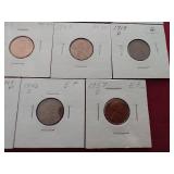 (19) Wheat Pennies in Flips