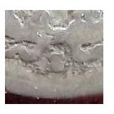 1887-S Liberty Seated Dime