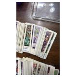 Minnesota Vikings Oversized Cards Vintas Lot, Plastic Case Included