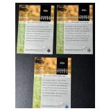 2001 3-Card Tiger Woods Tigers Tales Rookie Golf Card Lot