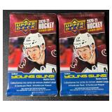 (2) 2020-2021 Upper Deck Hockey Extended Series Card Pack