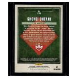 Shohei Ohtani Artist