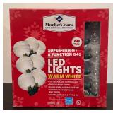 FR - 2 Boxes Members Mark LED Warm White String Lights 60 Count Each