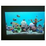 NEC NP-PA571W 5700 Lumen WXGA Professional Installation LCD Projector