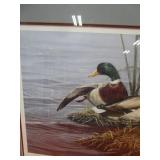 Paco Young "Quiet Rain" S&N Print 70/5300 34"x26" Frame