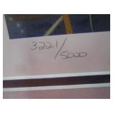 Robert Hartman "Northern Flight" S&N Print 3221/5000 24"x33" Frame