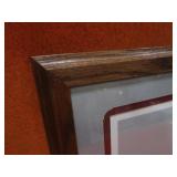 John Green "Mallard Mirage" S&N Print 369/1000 29"x22" Frame