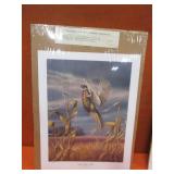 John Green "South Dakota