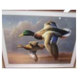 James Hartman Ducks Unlimited 1996 Duck Stamp S&N Print 7686/12111 17"x16" Frame Size