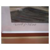 1996 Migratory Bird Hunting & Conservation Stamp S&N Print 16008/17500 17"x16" Frame Size