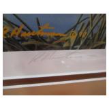 Robert Hartman 1996 Migratory Bird Hunting & Conservation Stamp S&N Print 12586/17500 16"x17" Frame Size