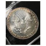 1989 AMERICAN SILVER EAGLE 1 TROY OZ .999 FINE SILVER IN CASE