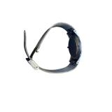 Skagen Denmark 20th Anniversary Limited Edition Watch with Steel Mesh Band