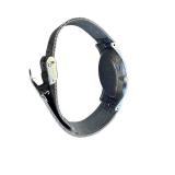 Skagen Denmark 20th Anniversary Limited Edition Watch with Steel Mesh Band