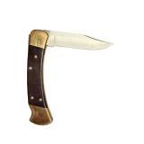 Buck 110 Folding Hunter Knife with Brass Bolsters and Leather Sheath