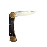 Buck 110 Folding Knife and Pakistan Stainless Folding Knife Set