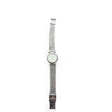Skagen Denmark Stainless Steel Mesh Band Analog Watch