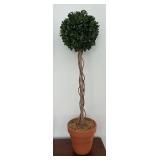 MB - Pair of Artificial Boxwood Topiary Plants in Terra Cotta Pots