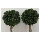 MB - Pair of Artificial Boxwood Topiary Plants in Terra Cotta Pots