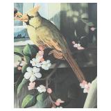 P - Sharon Anderson Signed Limited Edition Cardinal Print Framed