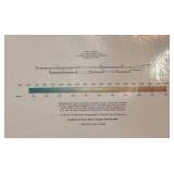 LLBR - Laminated Large Minnesota Wall Map by Raven Maps