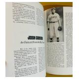 LL - 100 Greatest Baseball Heroes Illustrated True Book by Mac Davis