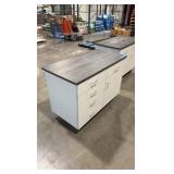 (2) Job Site Rolling Cabinets