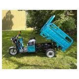 SDLANCH 3-Wheel Electric Tricycle Vehicle (IRET13)