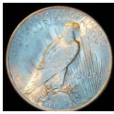 Uncirculated 1923 Peace Dollar, High Grade, Full Luster, Mid+/High MS