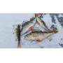 3 Nights Winter Lodge Stay, 1 Full Day Ice Fishing Group Adventure (January 8-11, 2026)
