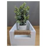 Kohls Tabletop Plant and Basket Decor
