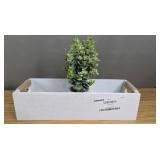 Kohls Tabletop Plant and Basket Decor