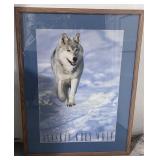 Wonderful Framed Print Alaskan Grey Wolf 34" X 32"