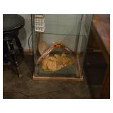 Wood / Glass Door Display Cabinet 1-door/5-shelf 17" x 14" x 54"