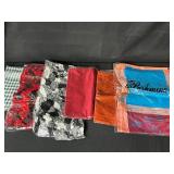 Set of Assorted Scarves and Shawls Including Pashmina Style
