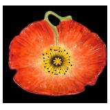 LL  - Clay Art Hand Painted Poppies Serving Set