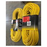Quantity 2 - Bayco 100 Foot Single-Tap 16/3 Extension Cord With Lighted End (SL-751)