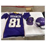 Minnesota Vikings Fan Lot