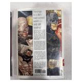 Batman Graphic Novel Lot