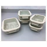 Set of Glass Food Storage Containers (5 Pieces)
