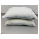 Set of Two Pillows