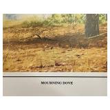 Mourning Dove Prints - Framed Woodland Scene with Birds (Set of Prints)